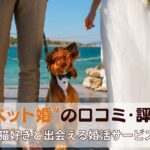 ペット婚　オンライン結婚相談所　口コミ　評判